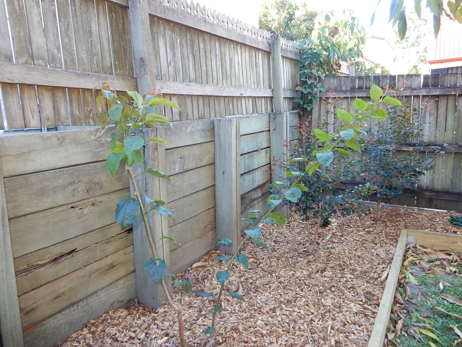 Retaining Walls — example 4